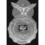 US AIR FORCE SECURITY POLICE BADGE PIN